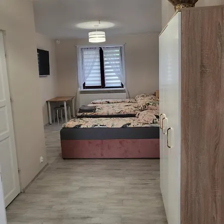 Z Wlasna Kuchnia I Lazienka Suntago Apartment Zyrardow