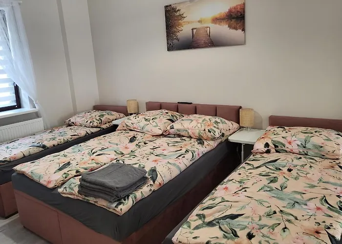 Pokój Z Własną Kuchnią I łazienką Suntago Zyrardow